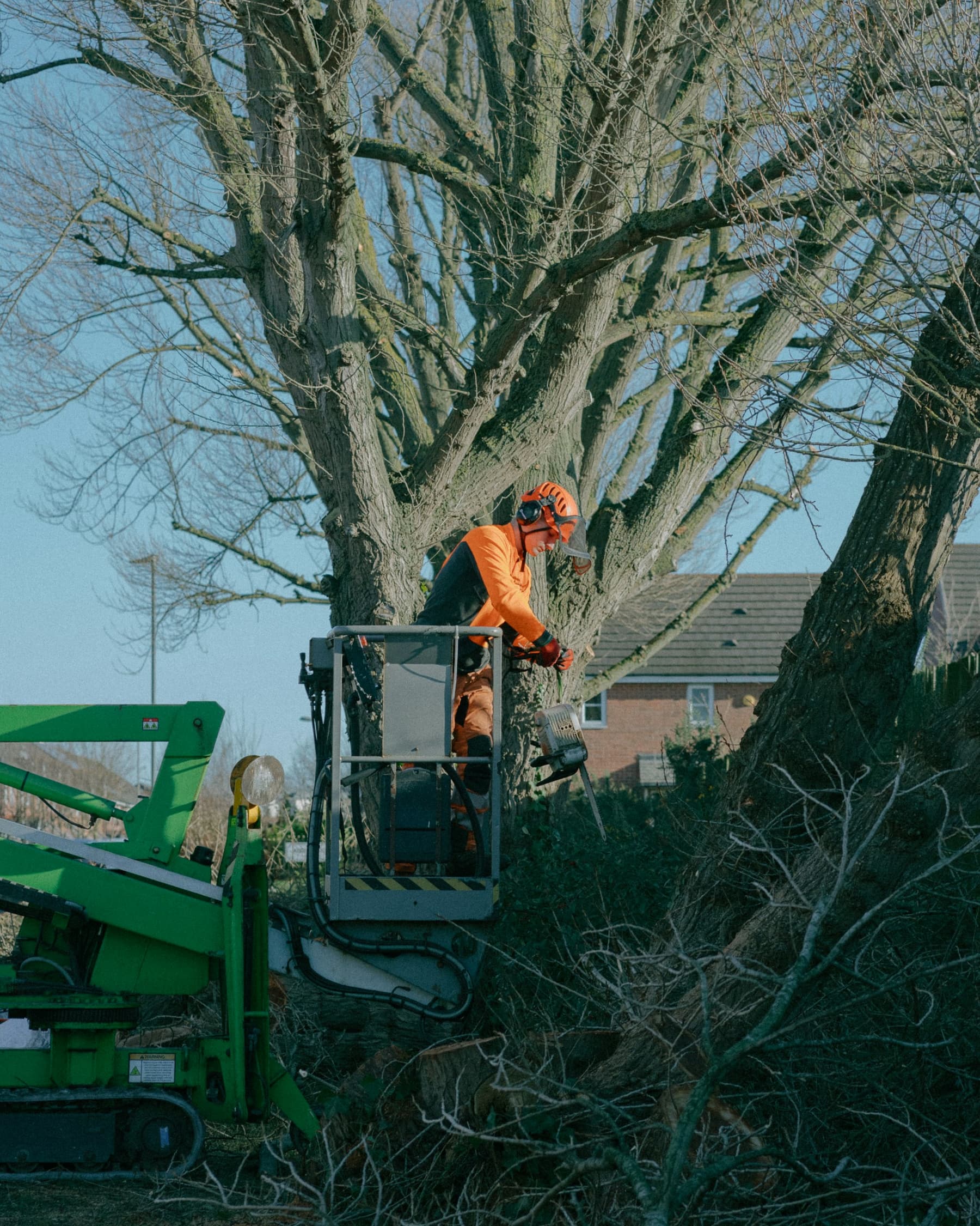 Emergency Tree Removal