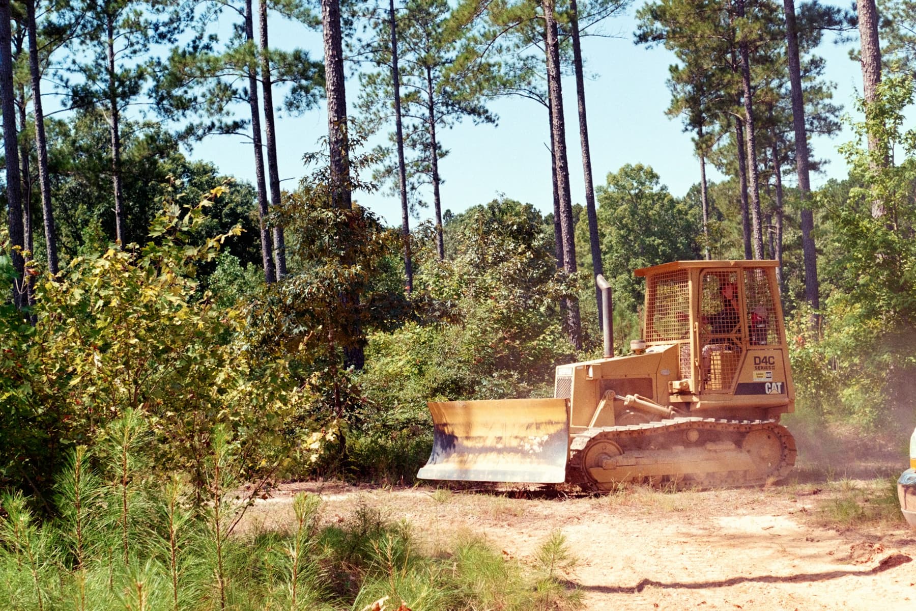 Tree-Only Land Clearing